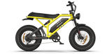 RAEV Bullet GTX Electric Bicycle