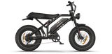 RAEV Bullet GTX Electric Bicycle