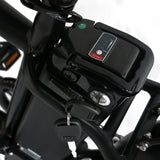 Coastal Cruisers Step Over 24x3 - 52v Beach Cruiser Electric Bike