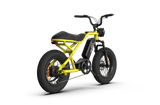 RAEV Bullet V2 Electric Bicycle