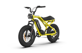 RAEV Bullet V2 Electric Bicycle