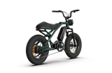RAEV Bullet V2 Electric Bicycle