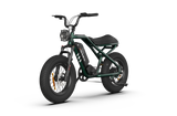 RAEV Bullet V2 Electric Bicycle
