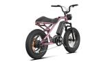 RAEV Bullet V2 Electric Bicycle