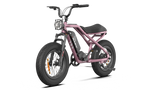 RAEV Bullet V2 Electric Bicycle