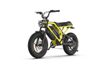 RAEV Bullet GTX Electric Bicycle