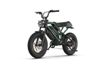 RAEV Bullet GTX Electric Bicycle