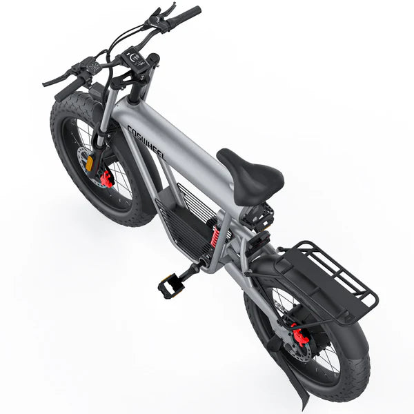 Coswheel Rybit T20 1000 Watt 48v Electric Bicycle – Alien Rides