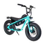 AR Atom 1000 Watt Mini Electric Bicycle
