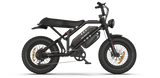 RAEV Bullet GTX Electric Bicycle