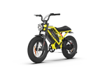 RAEV Bullet GT V2 Electric Bicycle