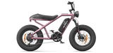 RAEV Bullet V2 Electric Bicycle
