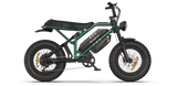 RAEV Bullet GTX Electric Bicycle