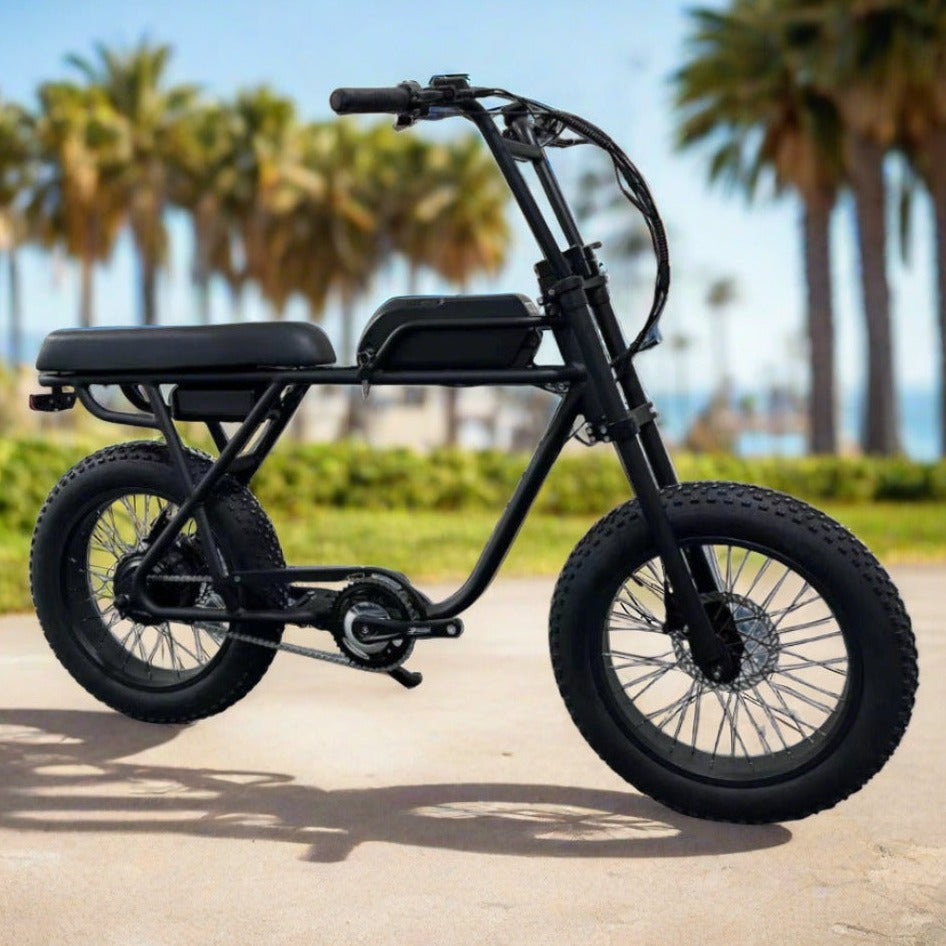 Costal Cruisers Ripper - 48V 750W Moto Style Electric Bike – Alien