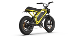 RAEV Bullet GTX Electric Bicycle