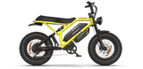 RAEV Bullet GTX Electric Bicycle