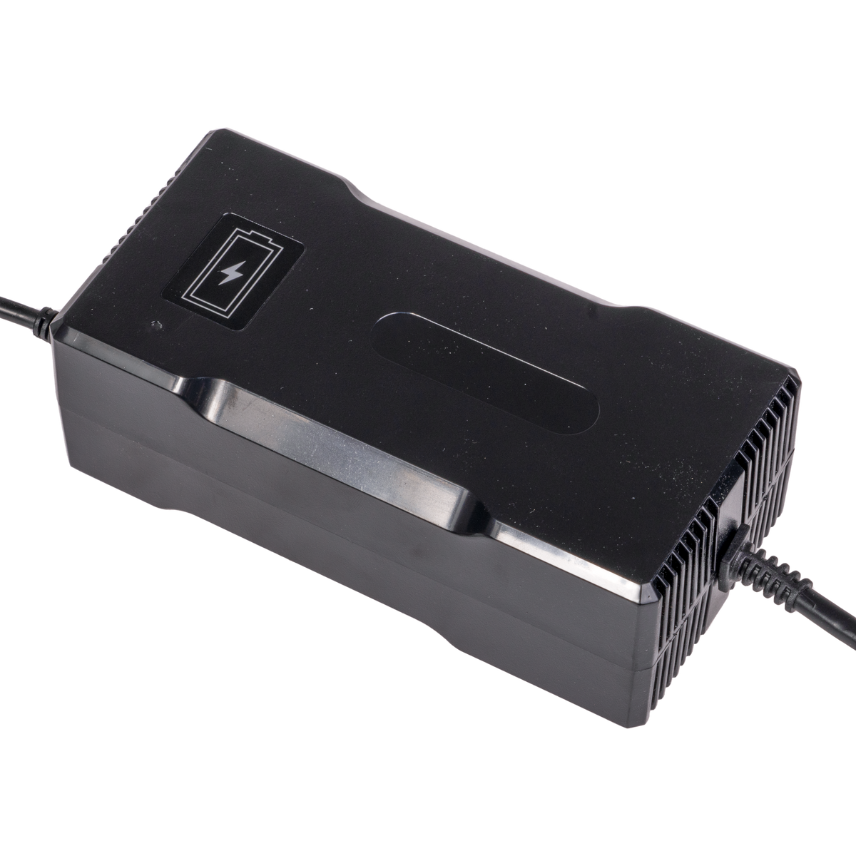 58.8V Portable Battery Charger for Sale