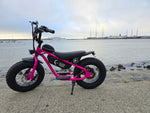 AR Atom 1000 Watt Mini Electric Bicycle