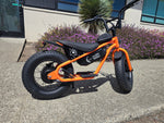 AR Atom 1000 Watt Mini Electric Bicycle