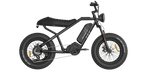 RAEV Bullet V1 Electric Bicycle