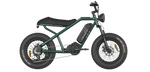 RAEV Bullet V1 Electric Bicycle