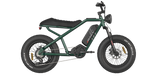 RAEV Bullet V1 Electric Bicycle