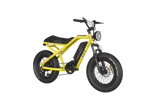 RAEV Bullet E-Bike