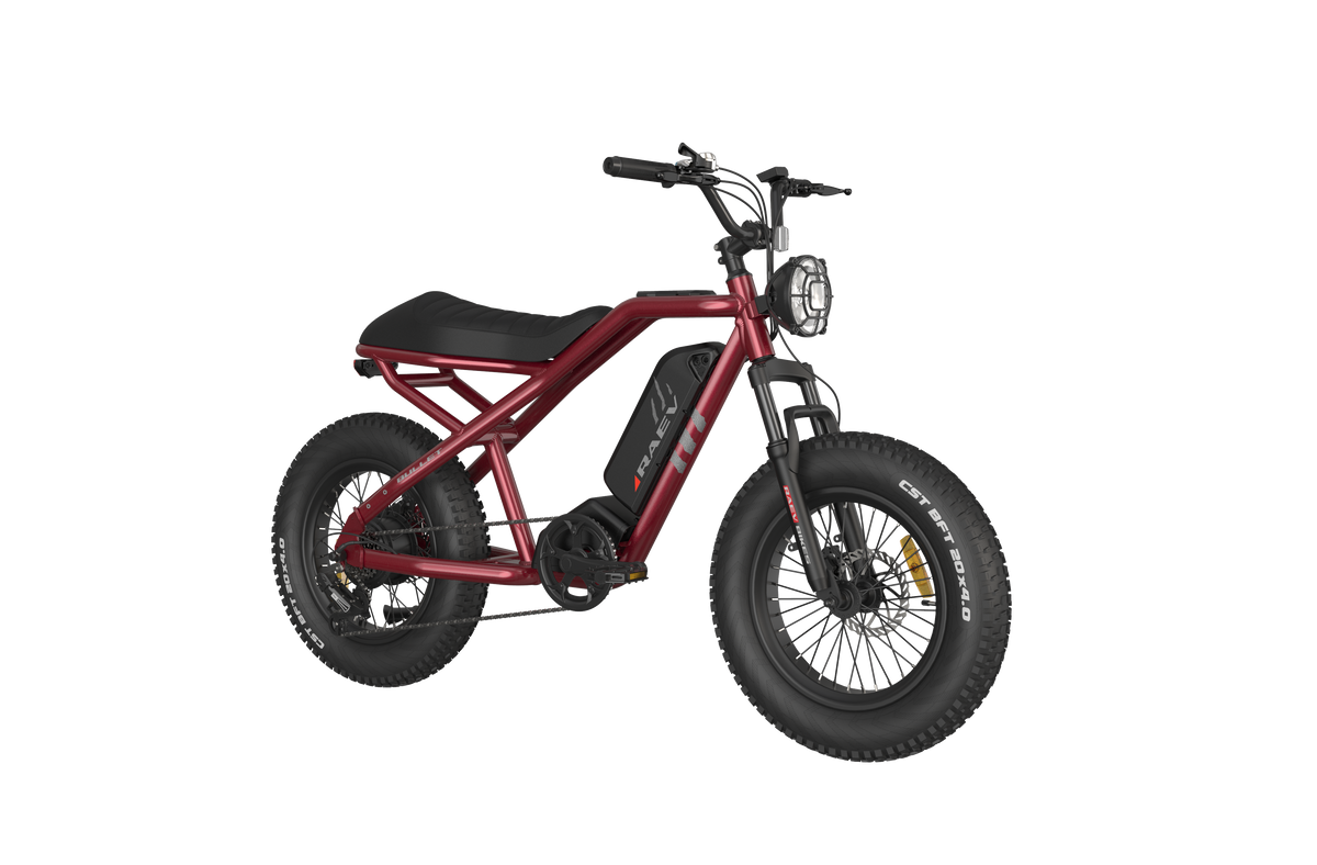 RAEV Bullet V2 Electric Bicycle (Pre-Order) – Alien Rides