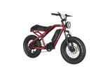 RAEV Bullet E-Bike