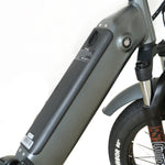 Costal Cruisers 750w Folding Step Thru 20x3 Electric Bike