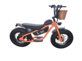 AR Atom 1000 Watt Mini Electric Bicycle