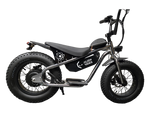 AR Atom 1000 Watt Mini Electric Bicycle