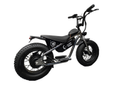 AR Atom 1000 Watt Mini Electric Bicycle