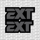 EXT Fork Tube Decal