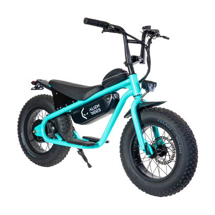 AR Atom 1000 Watt Mini Electric Bicycle