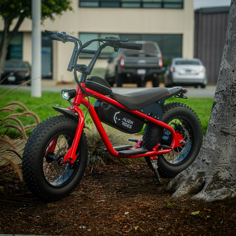 Alien Rides Atom Mod AR Atom 1000 Watt Mini Electric Bicycle – Alien Rides