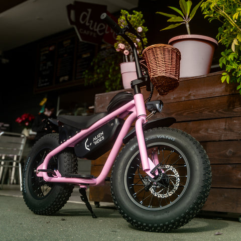 AR Atom 1000 Watt Mini Electric Bicycle – Alien Rides AR Atom 1000 Watt Mini Electric Bicycle – Alien Rides