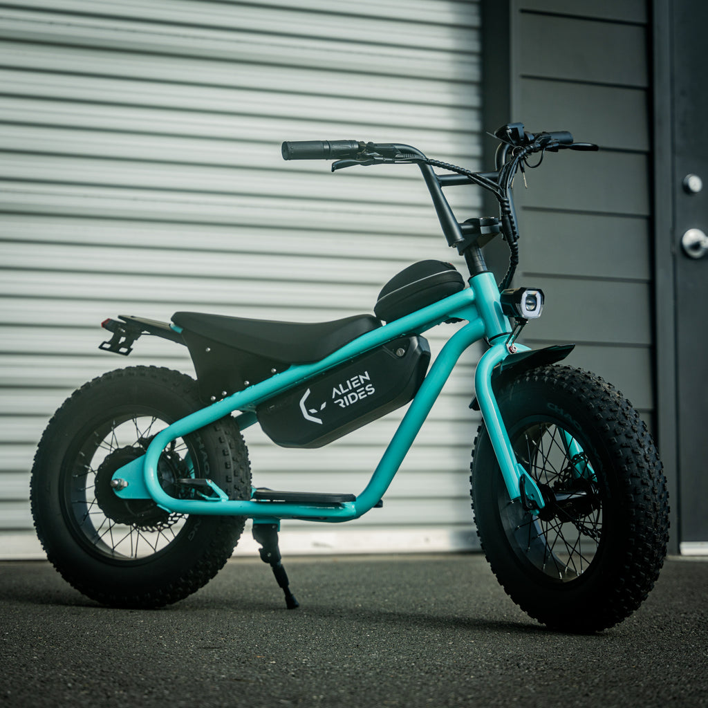 eleek atom electric bicycle AR Atom 1000 Watt Mini Electric Bicycle – Alien Rides