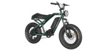 RAEV Bullet V1 Electric Bicycle