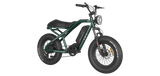 RAEV Bullet V1 Electric Bicycle