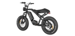 RAEV Bullet V1 Electric Bicycle