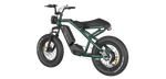 RAEV Bullet V1 Electric Bicycle