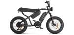 RAEV Bullet X /XF V2 Electric Bicycle