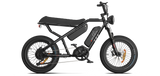 RAEV Bullet X /XF V2 Electric Bicycle