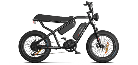 RAEV Bullet X /XF V2 Electric Bicycle