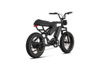 RAEV Bullet X /XF V2 Electric Bicycle