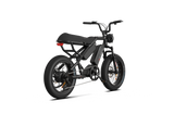 RAEV Bullet X /XF V2 Electric Bicycle