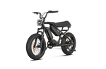 RAEV Bullet X /XF V2 Electric Bicycle