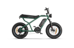 RAEV Bullet X /XF V2 Electric Bicycle