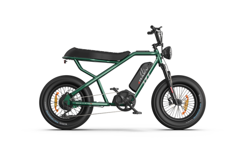 RAEV Bullet X /XF V2 Electric Bicycle